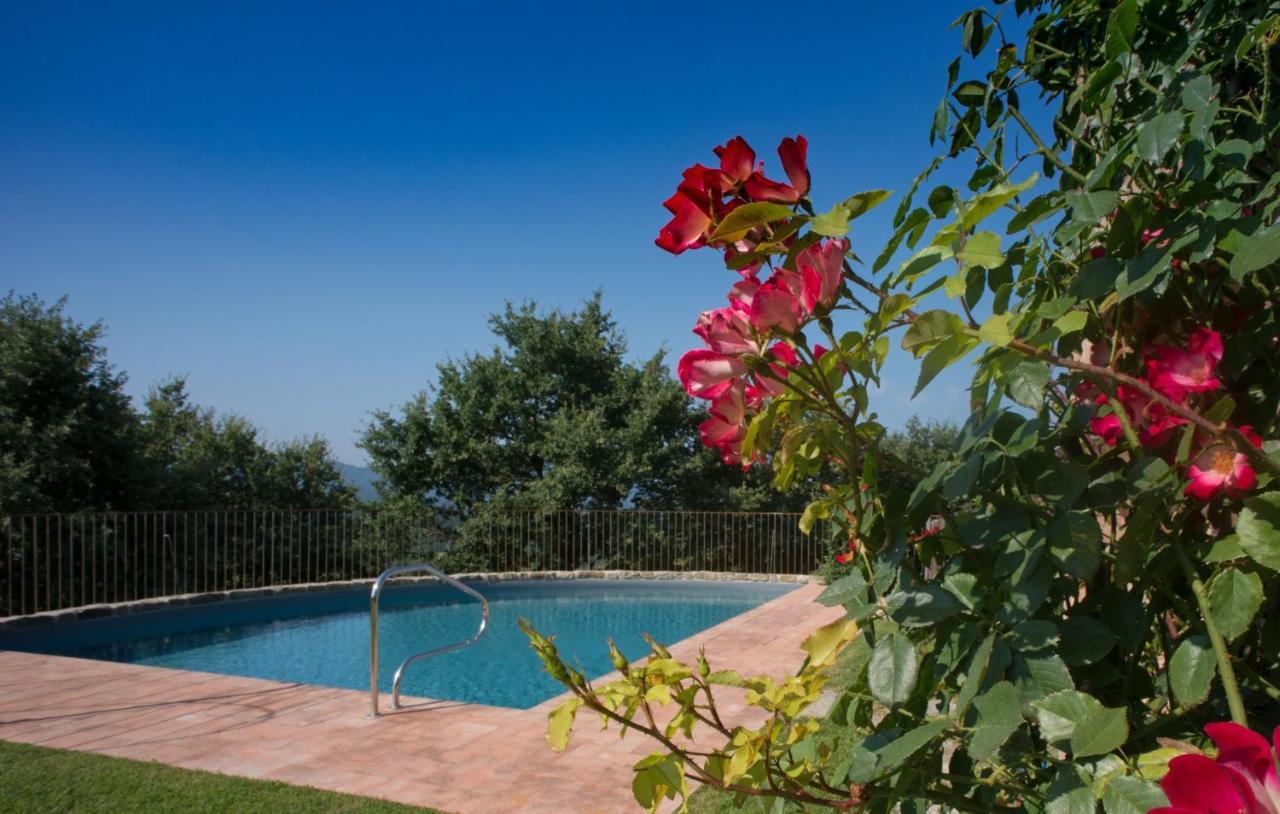 Villa Tinaia - Homelike Villas Molinelli Exterior foto
